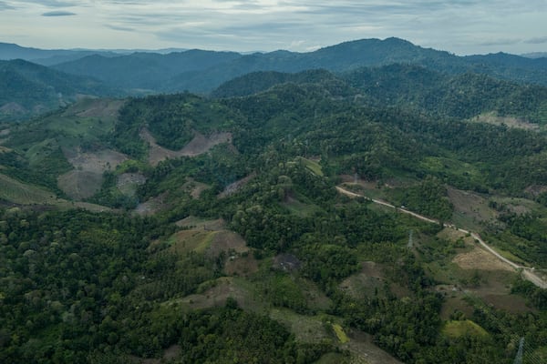 Deforestation is visible near the areas of several wood pellet production companies in Pohuwato, Gorontalo province, Indonesia, Tuesday, Oct. 22, 2024. (AP Photo/Yegar Sahaduta Mangiri)