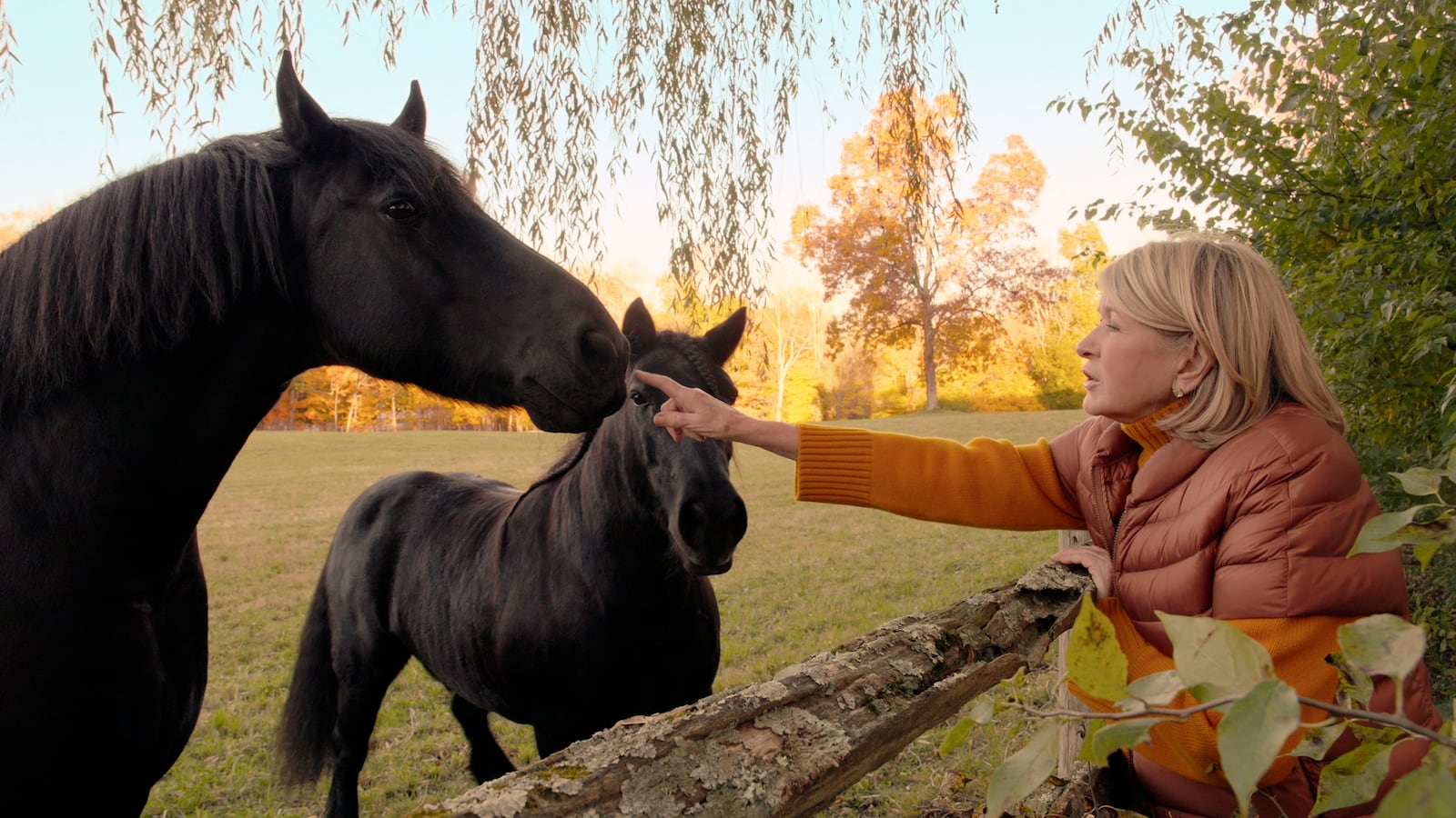 This image released by Netflix shows Martha Stewart in a scene from the documentary "Martha." (Netflix via AP)