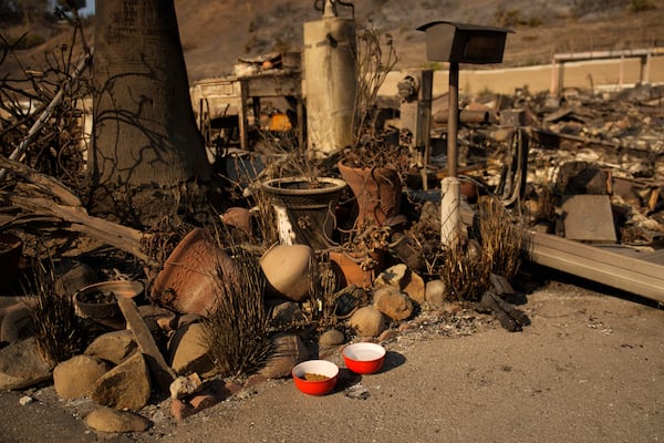 A cat food and water bowl, placed by Kevin Marshall, sits near his mother's property, which was destroyed by the Palisades Fire in the Pacific Palisades neighborhood of Los Angeles, Saturday, Jan. 11, 2025. Marshall placed the bowls for Simba, a cat his mother took care of. (AP Photo/John Locher)