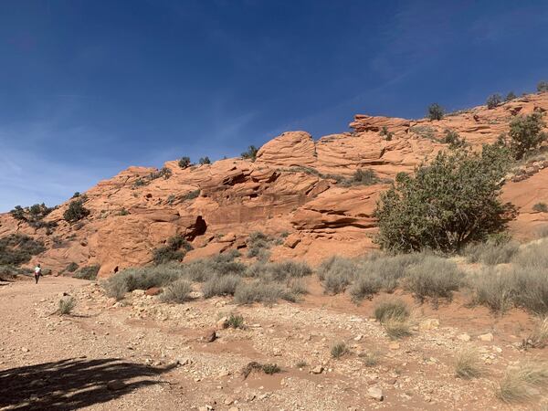 Bureau of Land Management land use for recreation in southern Utah near Kanab Needles Overlook run by the BLM near Canyonlands National Park south of Moab, Utah, March 29, 2024. (Donn Friedman/The Albuquerque Journal via AP)