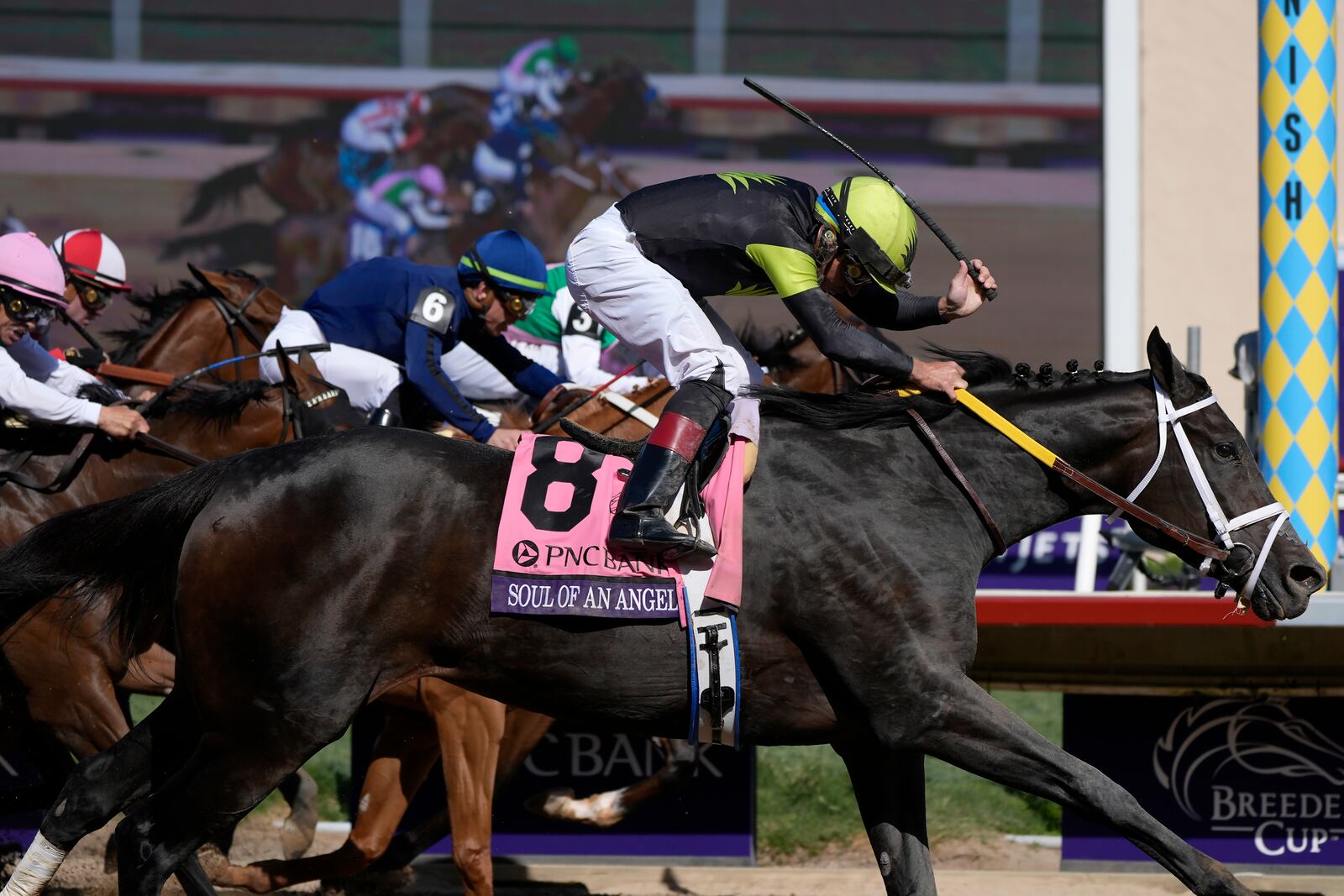 Drayden Van Dyke rides Soul Of An Angel (8) to victory in the Breeders' Cup Filly and Mare Sprint horse race in Del Mar, Calif., Saturday, Nov. 2, 2024. (AP Photo/Gregory Bull)