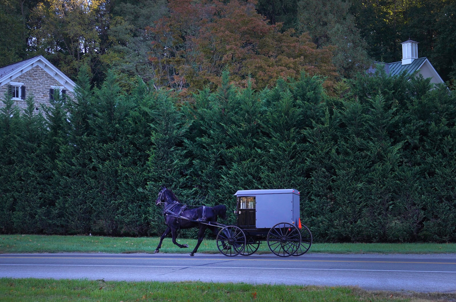 A horse and buggy drives down the street in Strasburg, Pa., on Tuesday, Oct. 15, 2024. (AP Photo/Jessie Wardarski)