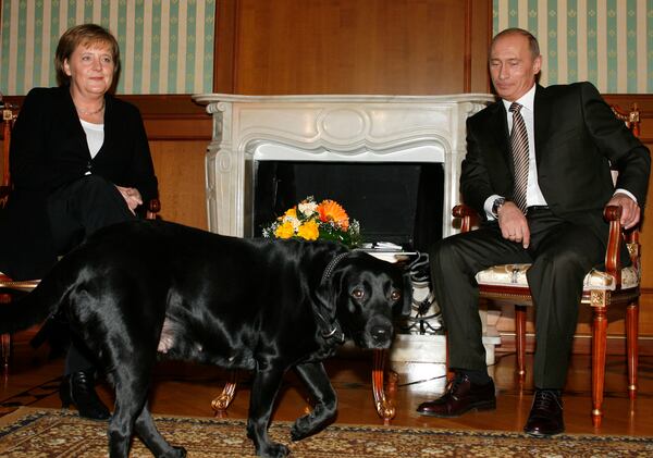 FILE - German Chancellor Angela Merkel and Russian President Vladimir Putin, look on as Putin's dog Cony walks past, during the meeting in Putin's residence in the Russian Black Sea resort of Sochi, Sunday, Jan. 21, 2007. (AP Photo/Mikhail Metzel, File)