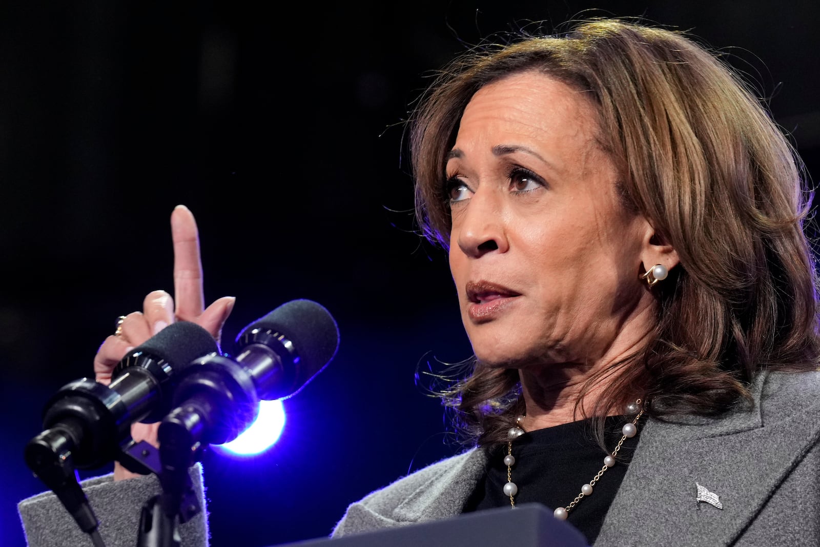 Democratic presidential nominee Vice President Kamala Harris speaks during a campaign event at Lakewood Amphitheatre, Saturday, Oct. 19, 2024, in Atlanta. (AP Photo/Jacquelyn Martin)