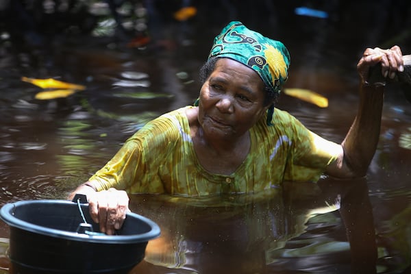 Berta Sanyi stands chest deep in water as she collects clams in a mangrove forest where only women are permitted to enter in Jayapura, Papua province, Indonesia on Wednesday, Oct. 2, 2024. (AP Photo/Firdia Lisnawati)