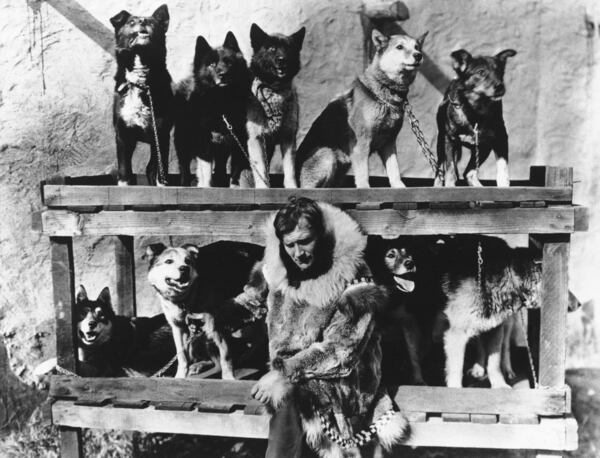 FILE - Gunnar Kaasen poses with his original dog team, including his lead dog Balto, top row, second left, in 1925, which he drove through a blinding blizzard to deliver life-saving serum, in Nome, Alaska. (AP Photo, File)