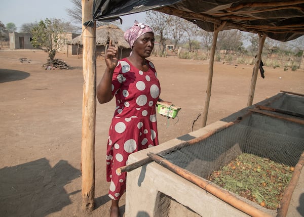 Maggot breeder, Chemari Choumumba stands next to a production tank of maggots at her home in Chiredzi, Zimbabwe Wednesday, Sept. 18, 2024. (AP Photo/Aaron Ufumeli)