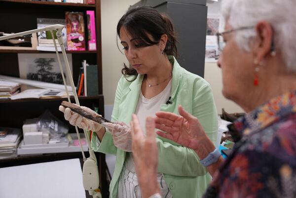 Thaís Pansani and Kay Behrensmeyer analyze a giant sloth rib bone from central Brazil, in the Smithsonian's National Taphonomy Reference Collection in Washington, D.C. on July 11, 2024. (AP Photo/Mary Conlon)