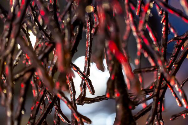 Ice encases tree branches in downtown Lexington, Ky., on Monday, Jan. 6, 2025. (Ryan C. Hermens/Lexington Herald-Leader via AP)