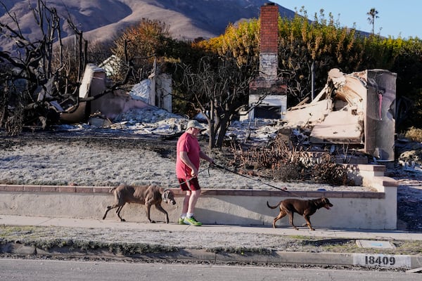 A resident whose home survived the Palisades Fire walks his dogs past a destroyed home, Wednesday, Jan. 15, 2025, in the Pacific Palisades neighborhood of Los Angeles. (AP Photo/Mark J. Terrill)