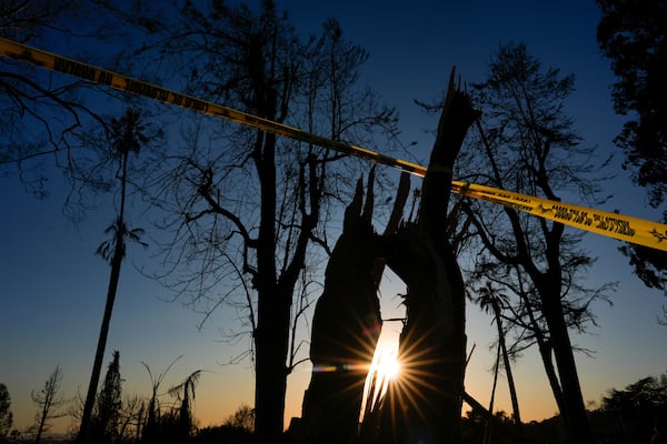 Caution tape cordons off townhomes and trees burned by the Eaton Fire on Monday, Jan. 13, 2025, in Altadena, Calif. (AP Photo/Carolyn Kaster)