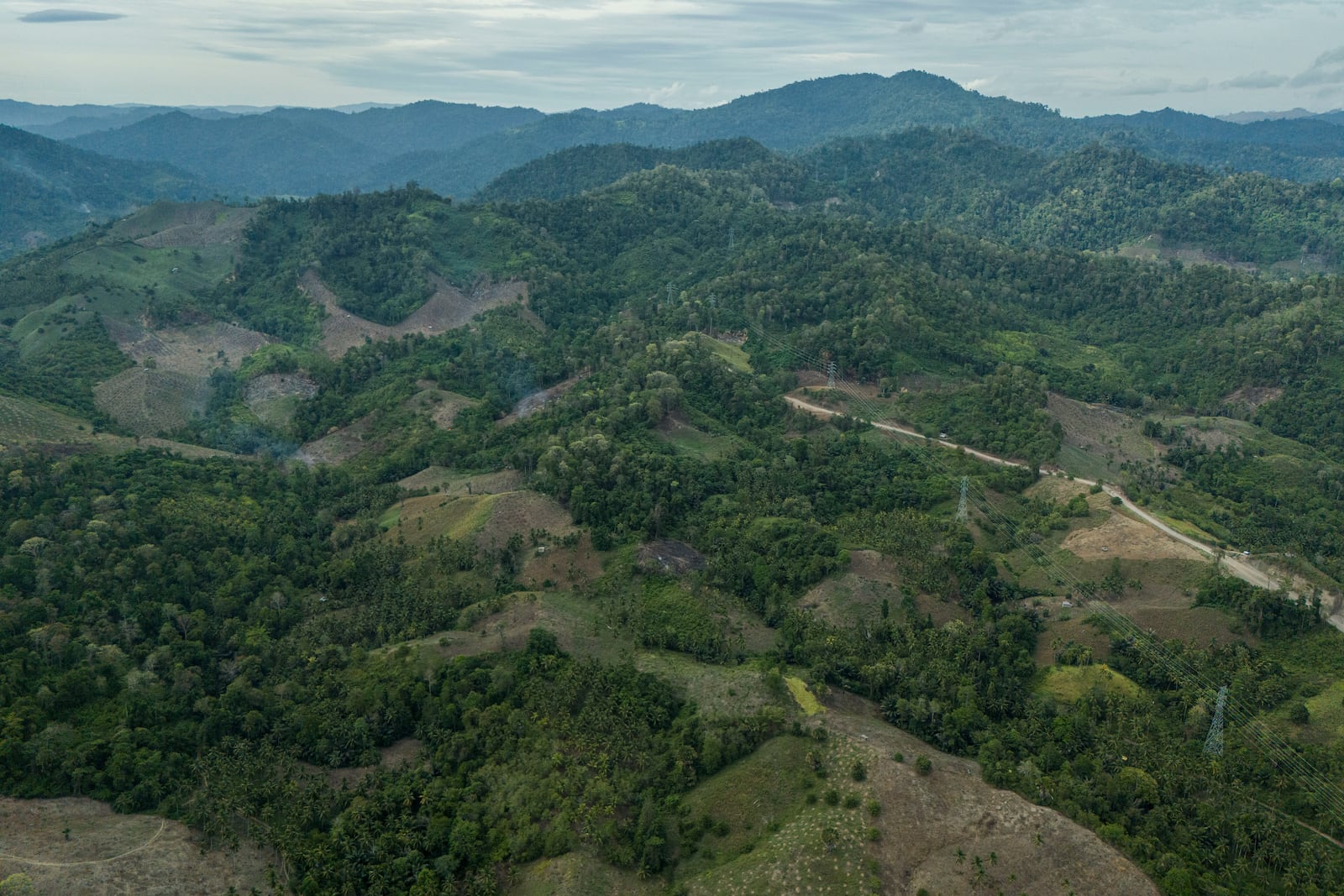 Deforestation is visible near areas of several wood pellet production companies in Pohuwato, Gorontalo province, Indonesia, Tuesday, Oct. 22, 2024. (AP Photo/Yegar Sahaduta Mangiri)