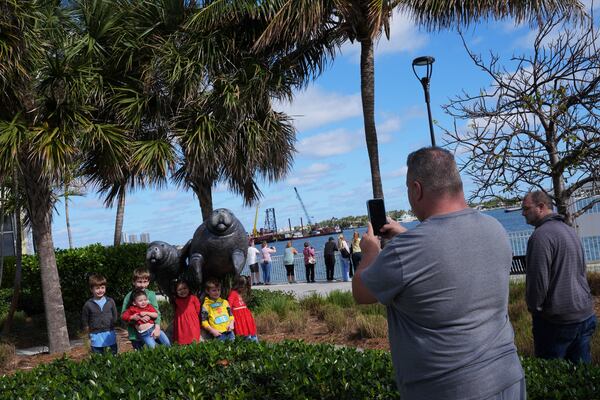 Children pose for a picture with a statue of manatees as they visit Manatee Lagoon, a free attraction operated by Florida Power & Light Company that lets the public view and learn about the sea cows who gather in winter in the warm-water outflows of the company's power plant, in Riviera Beach, Fla., Friday, Jan. 10, 2025. (AP Photo/Rebecca Blackwell)