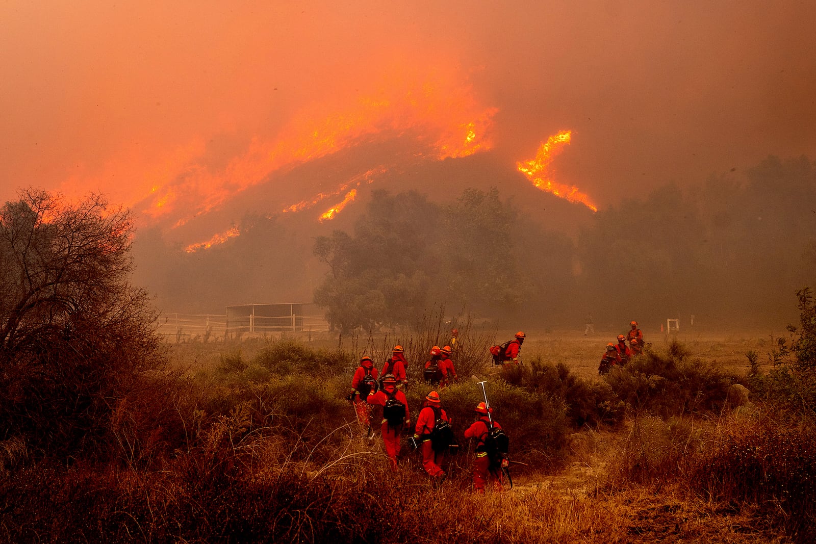 Inmate firefighters battle the Mountain Fire at Swanhill Farms in Moorpark, Calif., on Thursday, Nov. 7, 2024. (AP Photo/Noah Berger)