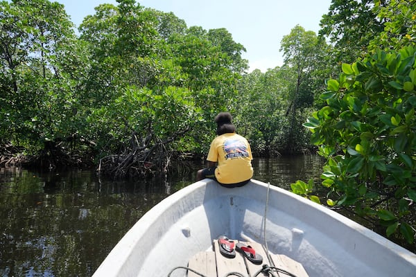 Martha Tjoe sits on a boat through a mangrove forest where only women are permitted to enter in Jayapura, Papua province, Indonesia on Wednesday, Oct. 2, 2024. (AP Photo/Firdia Lisnawati)