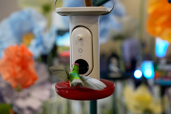 A Bird Buddy smart bird feeder is on display at the Wonder booth during the CES tech show Wednesday, Jan. 8, 2025, in Las Vegas. (AP Photo/John Locher)