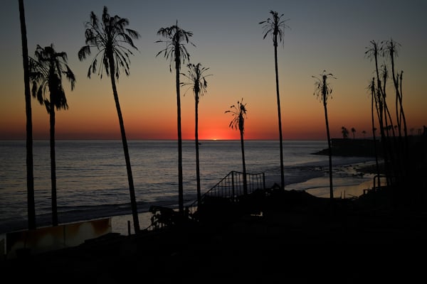 The sun sets behind palm trees burnt by the Palisades Fire on Friday, Jan. 10, 2025, in Malibu, Calif. (AP Photo/Eric Thayer)