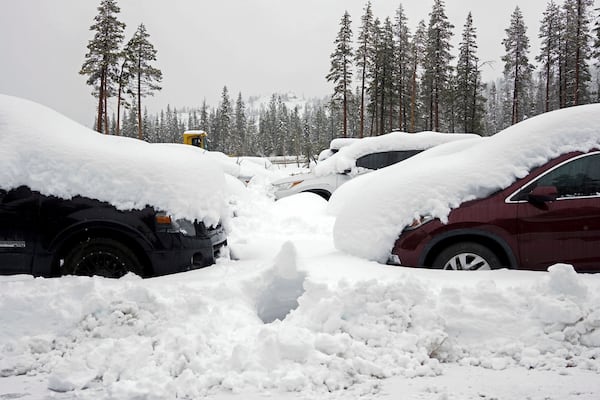 Cars are covered in snow during a storm Thursday, Nov. 21, 2024, in Soda Springs, Calif. (AP Photo/Brooke Hess-Homeier)