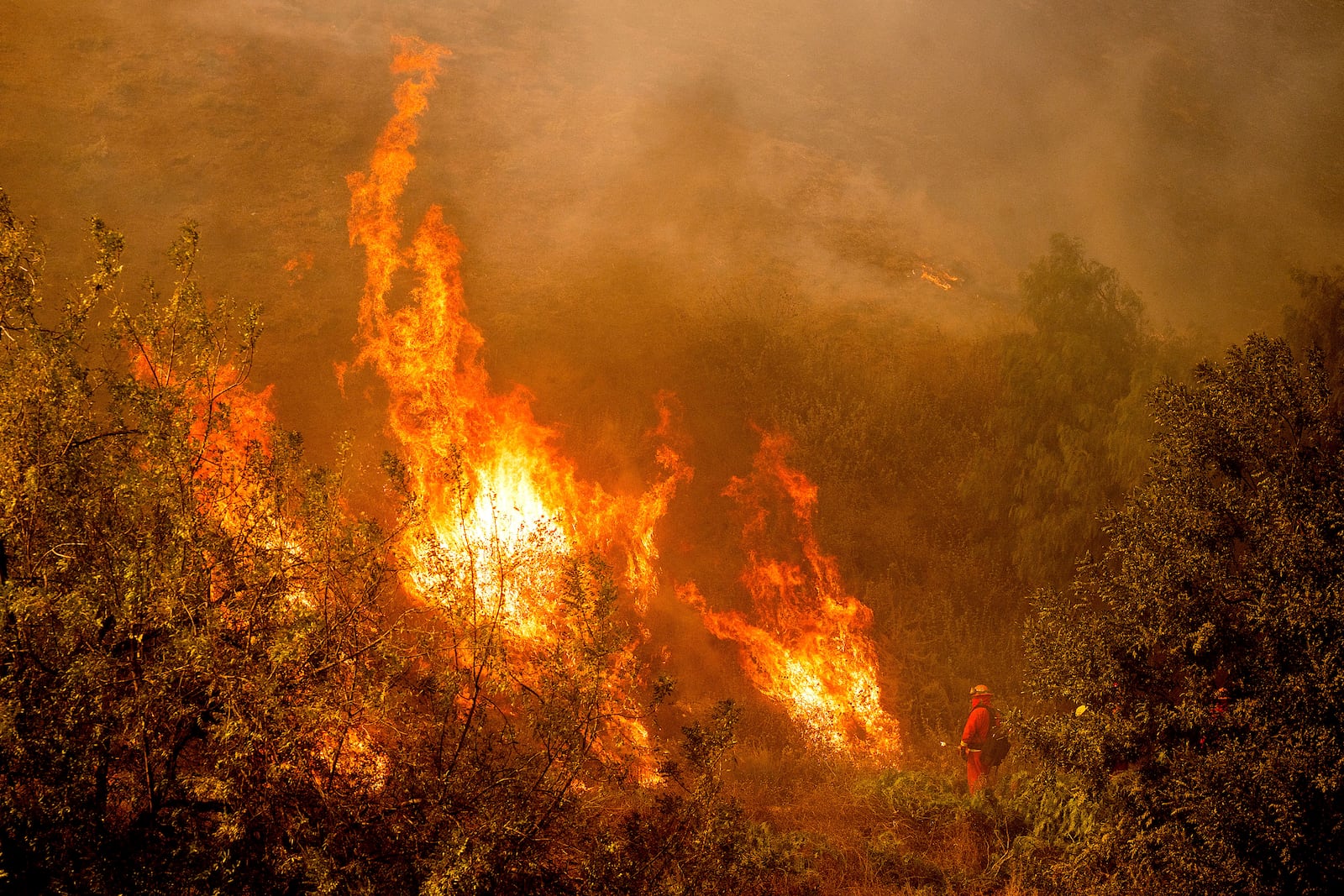 A firefighter battling the Mountain Fire watches flames from a firing operation burn off vegetation around Swanhill Farms in Moorpark, Calif., on Thursday, Nov. 7, 2024. (AP Photo/Noah Berger)