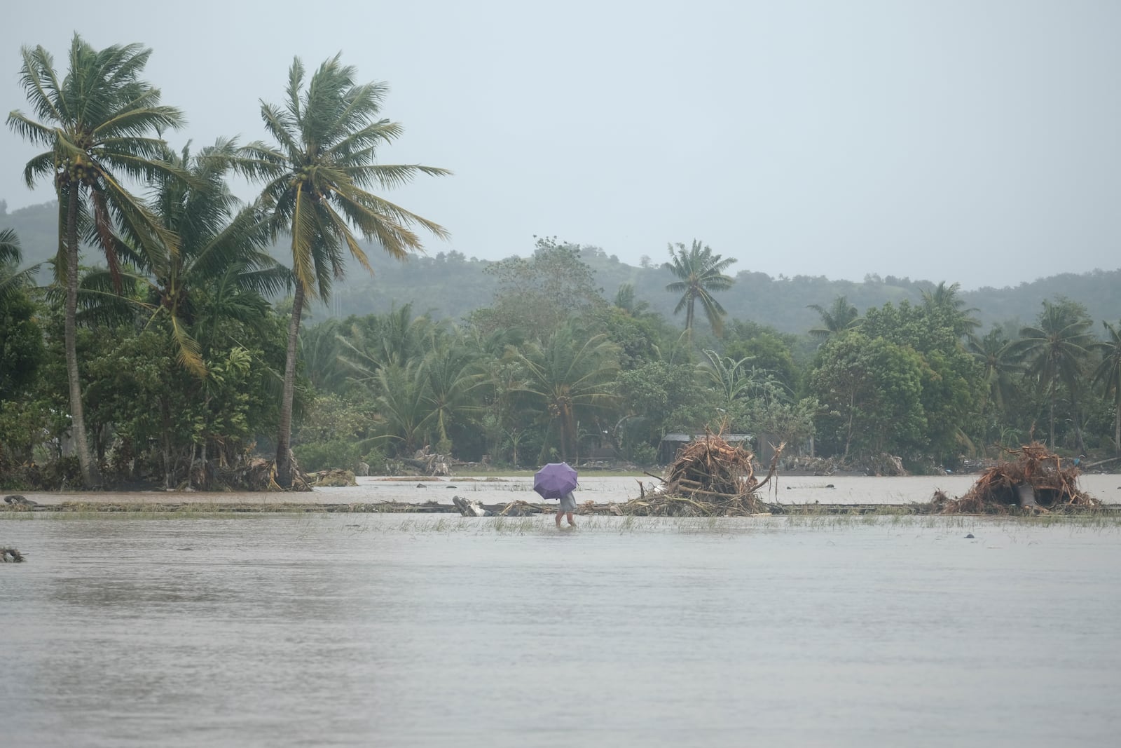 A man crosses flooded rice fields on Thursday, Oct. 24, 2024 after Tropical Storm Trami, locally named Kristine, dumped heavy rains at Libon town, Albay province, Philippines. (AP Photo/John Michael Magdasoc)