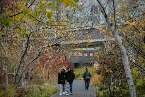 People walk on the High Line in the Meatpacking District of Manhattan, Friday, Nov. 22, 2024, in New York. (AP Photo/Julia Demaree Nikhinson)