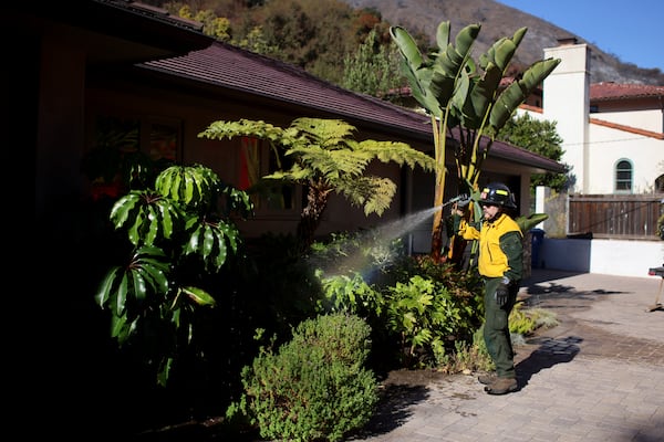 A firefighter hoses vegetation around a property while protecting structures from the Palisades Fire in Mandeville Canyon Tuesday, Jan. 14, 2025, in Los Angeles. (AP Photo/Ethan Swope)