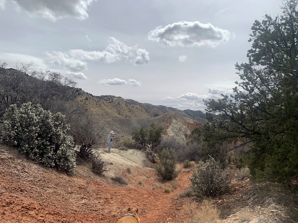 Bureau of Land Management land use for recreation in southern Utah near Kanab Needles Overlook run by the BLM near Canyonlands National Park south of Moab, Utah, March 29, 2024. (Donn Friedman/The Albuquerque Journal via AP)