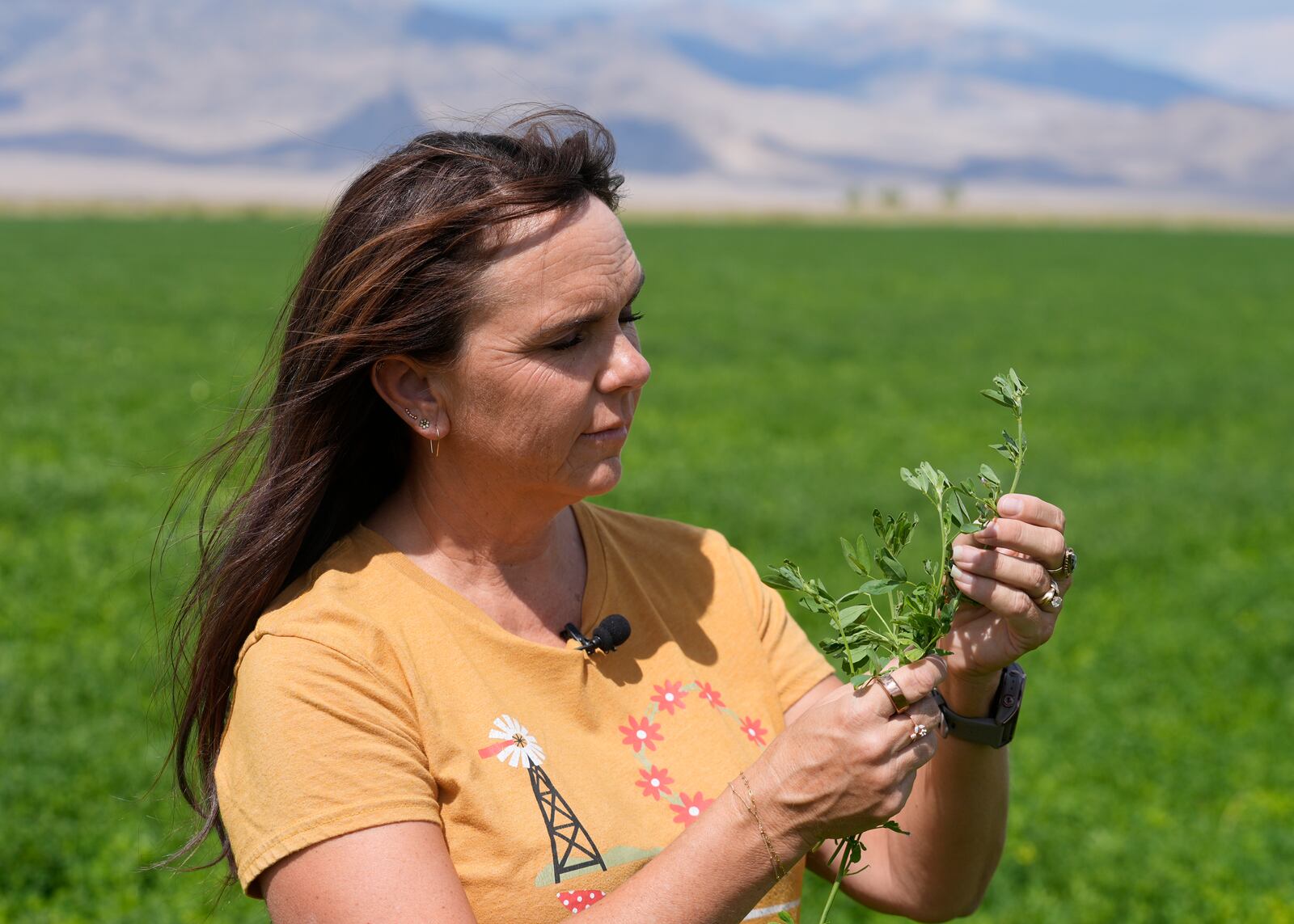 Janille Baker, Baker ranch's controller, stands in a field on the Baker Ranch Monday, Sept. 9, 2024, in Baker, Nevada. (AP Photo/Rick Bowmer)