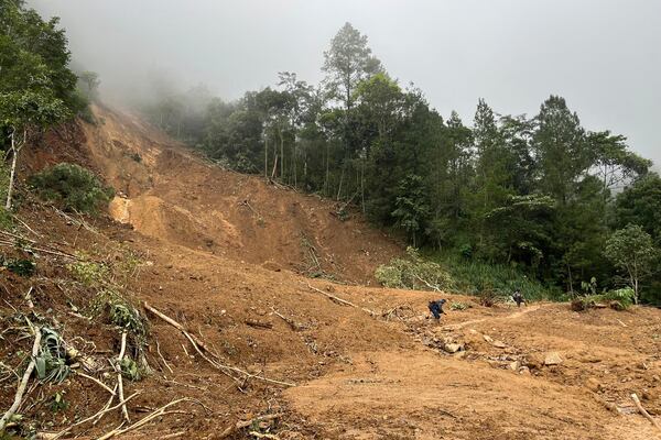 People examine the damage at an area affected by a landslide following a flash flood in Pekalongan, Central Java, Indonesia, Wednesday, Jan. 22, 2025. (AP Photo/Janaki DM)