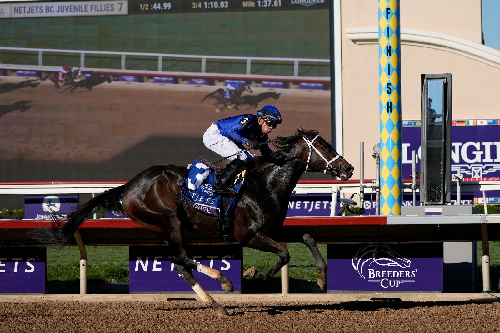 Manuel Franco rides Immersive to victory in the Breeders' Cup Juvenile Fillies horse race at Santa Anita Park in Del Mar, Calif., Friday, Nov. 1, 2024. (AP Photo/Gregory Bull)