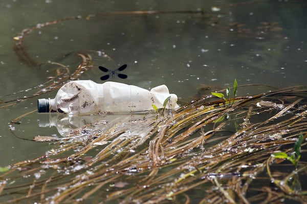 FILE - A dragonfly flies over a plastic bottle near the bank of Sava River in Obrenovac, some 25 kilometers (15 miles) west of the Serbian capital Belgrade, on Tuesday, May 28, 2013. (AP Photo/Darko Vojinovic, File)