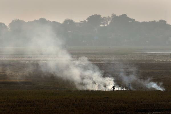 A farmer burns crop residue after harvest near Bundelkhand expressway some 330 kilometers (206 miles) from New Delhi, India, Sunday, Nov. 17, 2024. (AP Photo/Manish Swarup)