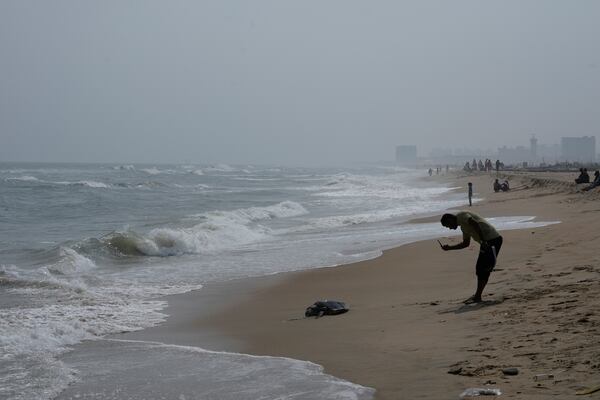 A man takes images of a carcass of an endangered Olive Ridley turtle washed ashore at Marina beach in Chennai, India, Wednesday, Jan.22, 2025. (AP Photo/Mahesh Kumar A.)