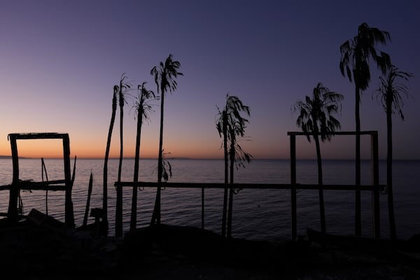 Charred trees stand as the sun rises along the Pacific Coast Highway, Tuesday, Jan. 14, 2025, in Malibu, Calif. (AP Photo/Carolyn Kaster)