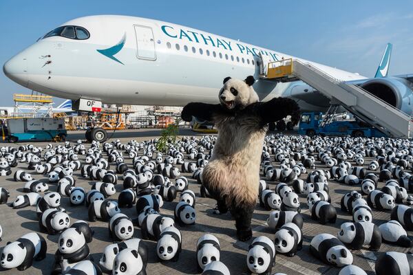 A panda mascot poses for photographs in front of the panda sculptures displayed at the Hong Kong International Airport during the welcome ceremony of the panda-themed exhibition "Panda Go!" in Hong Kong, Monday, Dec. 2, 2024. (AP Photo/Chan Long Hei)