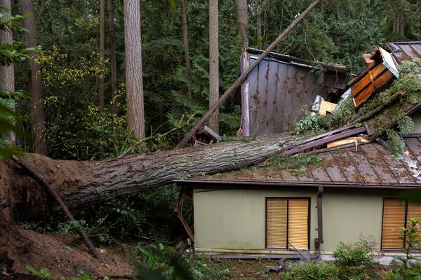 A woman was killed after a tree fell on her home during Tuesday night's "bomb cyclone" in severe weather in Bellevue, Wash. (Nick Wagner/The Seattle Times via AP)