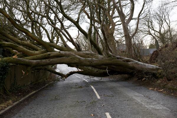 A fallen tree blocks the road during storm Eowyn that hit the country near Belfast, Northern Ireland, Friday, Jan. 24, 2025.(AP Photo)