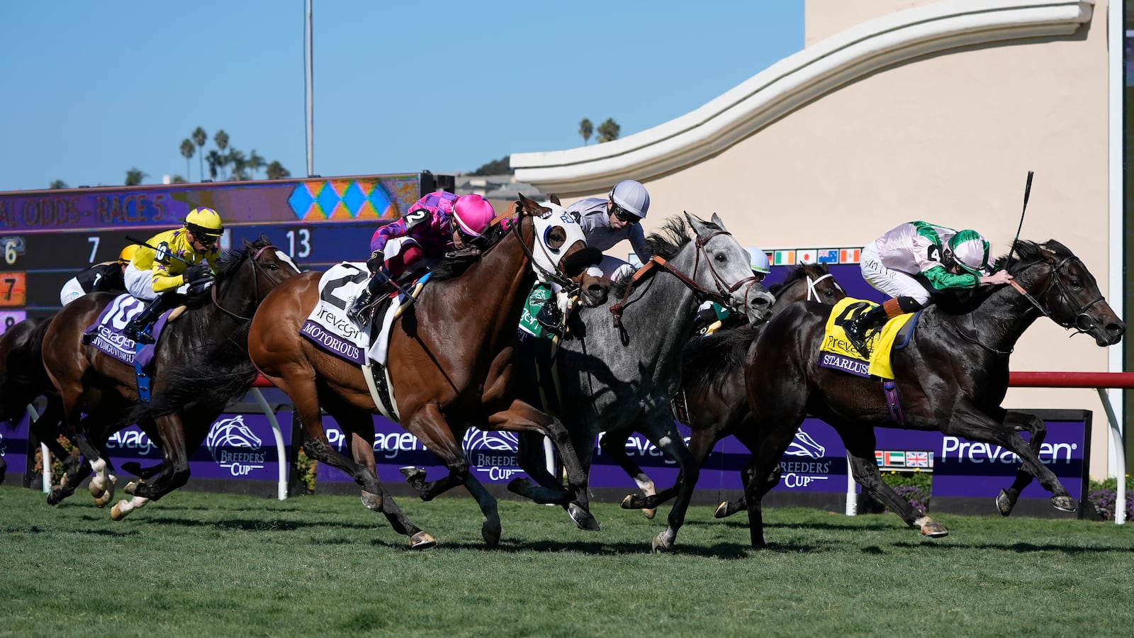 Rossa Ryan rides Starlust, right, to victory past Manuel Franco riding Isivunguvungu, from left, Antonio Fesu riding Motorious and Umberto Rispoli riding AG Bullet in the Breeders' Cup Turf Sprint horse race in Del Mar, Calif., Saturday, Nov. 2, 2024. (AP Photo/Gregory Bull)