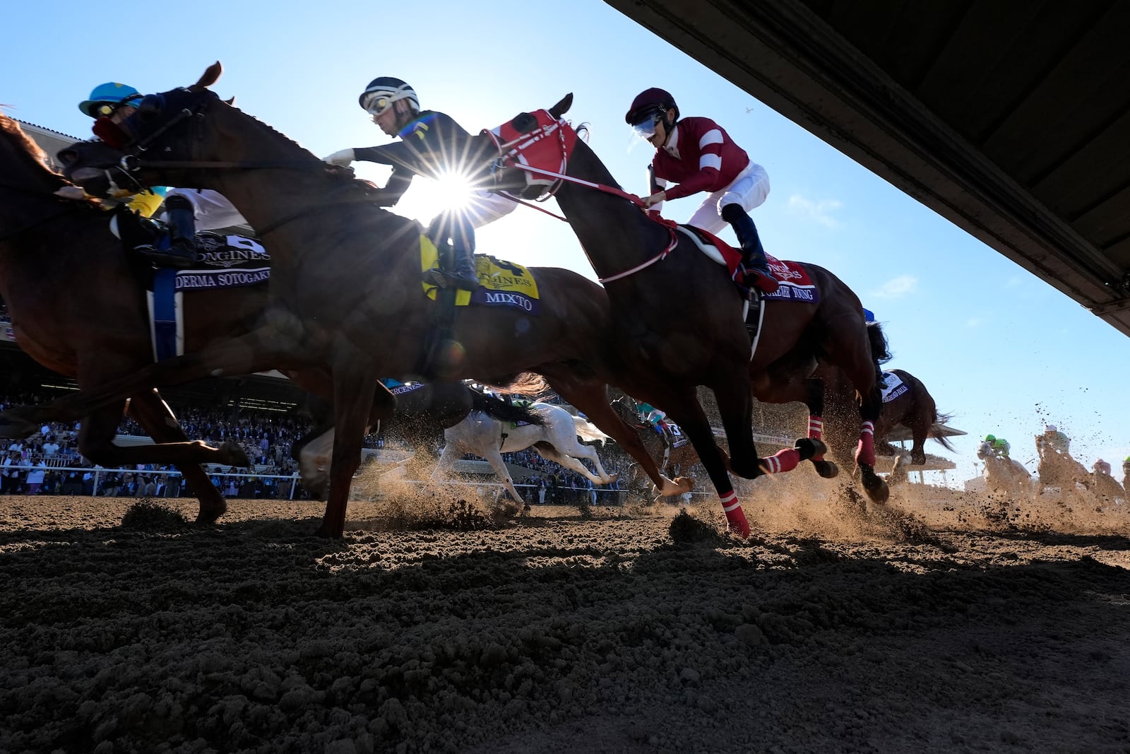 Riders compete in the Breeders' Cup Classic horse race in Del Mar, Calif., Saturday, Nov. 2, 2024. (AP Photo/Gregory Bull)