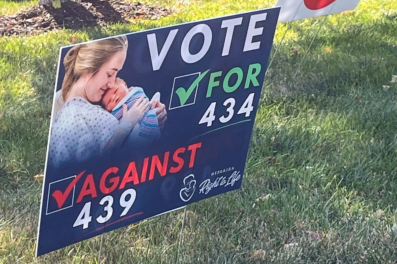 A sign supporting a ballot measure to restrict abortion rights is seen in a yard, Friday, Oct. 18, 2024, in Omaha, Neb. (AP Photo/Margery Beck)