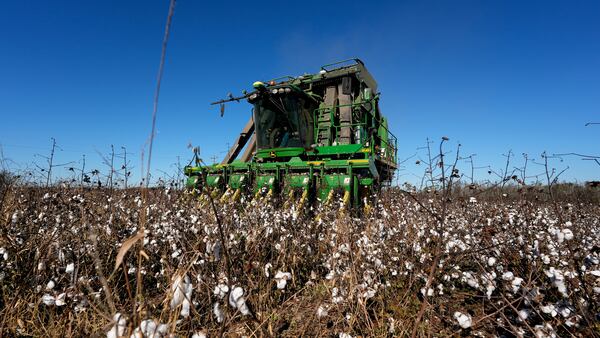 A cotton picker moves through Chris Hopkins' cotton field, Friday, Dec. 6, 2024, near Lyons, Ga. (AP Photo/Mike Stewart)