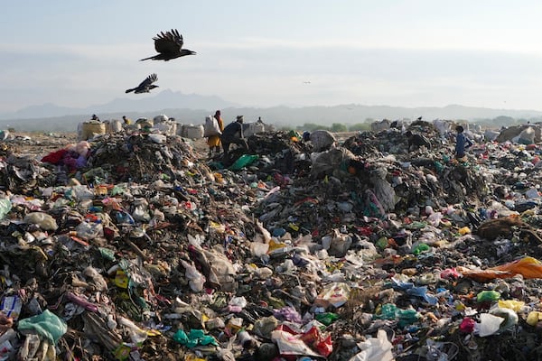 FILE - Indian rag pickers look for reusable material at a garbage dump filled with plastic and other waste material on the outskirts of Jammu, India, April 22, 2024. (AP Photo/Channi Anand, File)