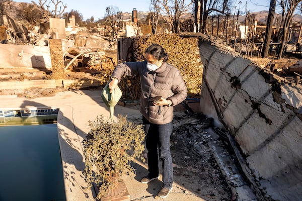 FILE - Marjan Rajabi waters a scorched plant at her Pacific Palisades home, which was destroyed by the Palisades Fire, on Sunday, Jan. 12, 2025, in Los Angeles. "It's the hope of rebuilding," Rajabi said. (AP Photo/Noah Berger, File)