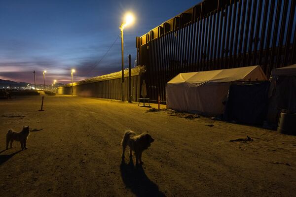 Dogs stand near a border wall separating Mexico from the United States, Wednesday, Jan. 22, 2025, in San Diego. (AP Photo/Gregory Bull)