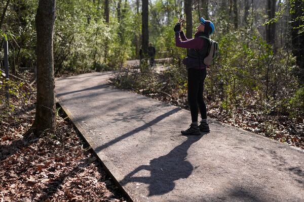 Dianne Baer looks up from a trail to watch sandhill cranes fly over the Wheeler National Wildlife Refuge, Monday, Jan. 13, 2025, in Decatur, Ala. (AP Photo/George Walker IV)