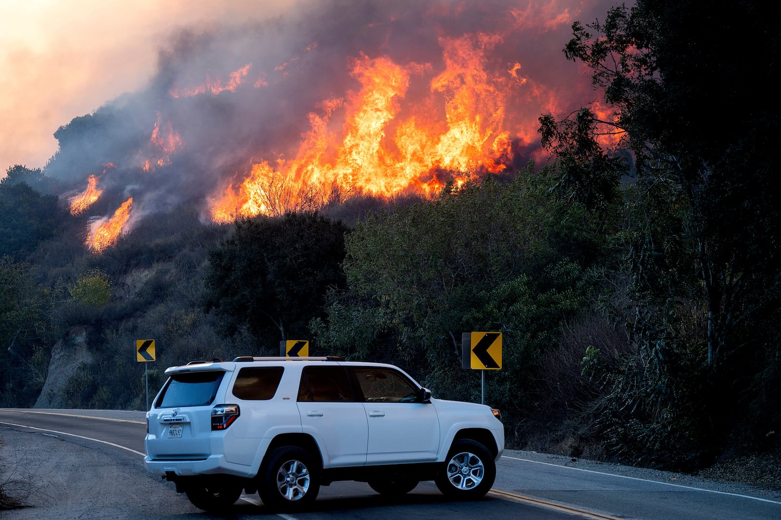 The Mountain Fire burns above South Mountain Rd. on Thursday, Nov. 7, 2024, in Santa Paula, Calif. (AP Photo/Noah Berger)