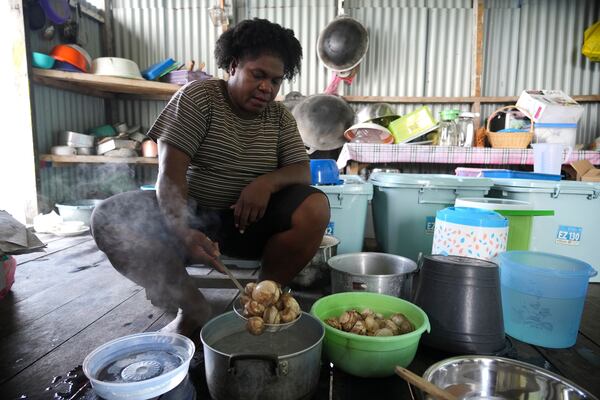 Petronela Merauje prepares clams to cook at her house at Enggros village in Jayapura, Papua province, Indonesia on Wednesday, Oct. 2, 2024. (AP Photo/Firdia Lisnawati)