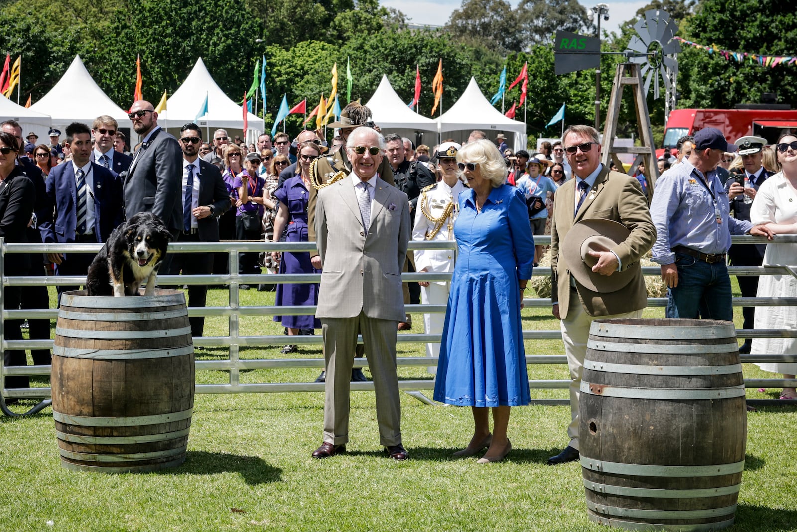 Britain's King Charles III and Queen Camilla view a sheep dog demonstration during the Premier's Community BBQ on Tuesday Oct. 22, 2024 in Sydney, Australia. (Brook Mitchell/Pool Photo via AP)