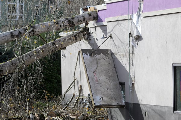 The drive-thru area of a Taco Bell restaurant is damaged by a fallen tree Wednesday, Nov. 20, 2024, in Issaquah, Wash., after a "bomb cyclone'"storm brought high winds to the area. (AP Photo/Manuel Valdes)