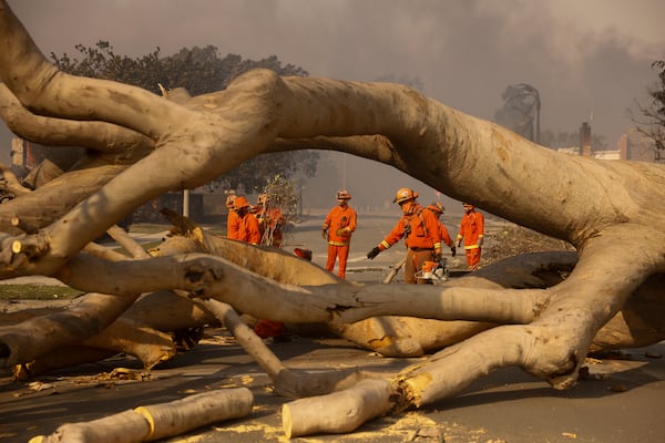 Fire crews begin to clear a toppled tree in the aftermath of the Palisades Fire in the Pacific Palisades neighborhood of Los Angeles, Wednesday, Jan. 8, 2025. (AP Photo/Etienne Laurent)